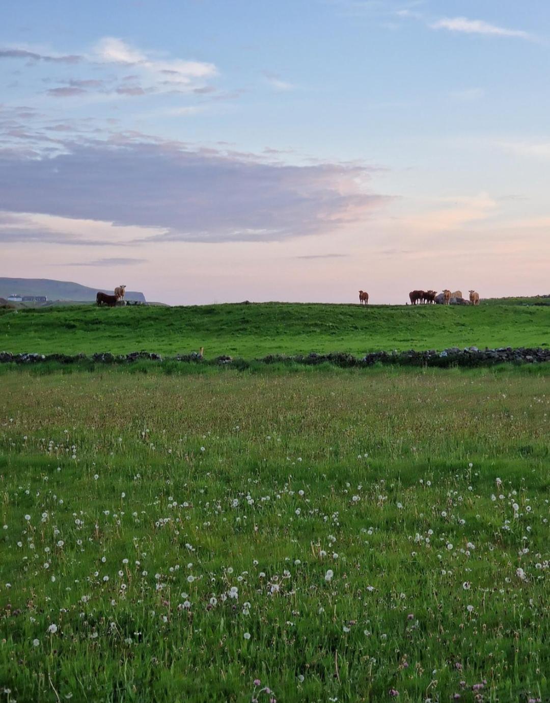 Wild Meadow Huts Villa Doolin Luaran gambar