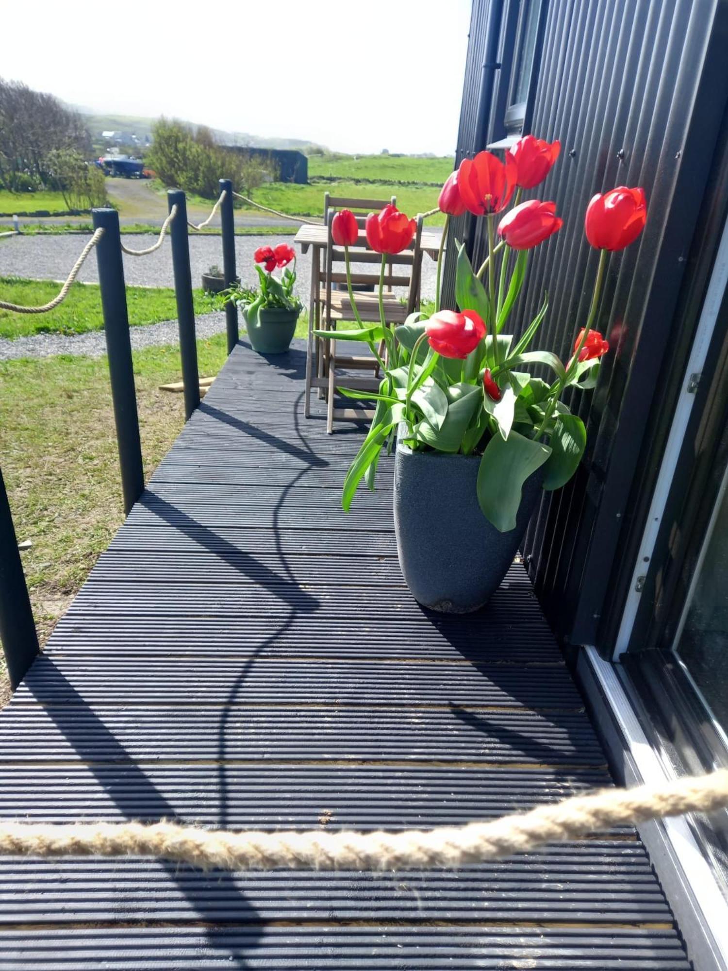 Wild Meadow Huts Villa Doolin Luaran gambar