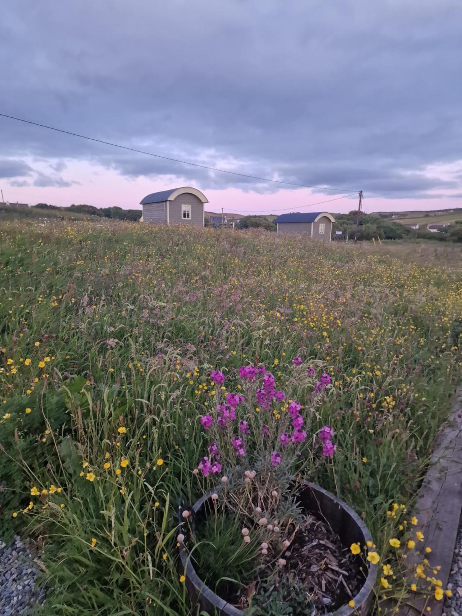 Wild Meadow Huts Villa Doolin Luaran gambar