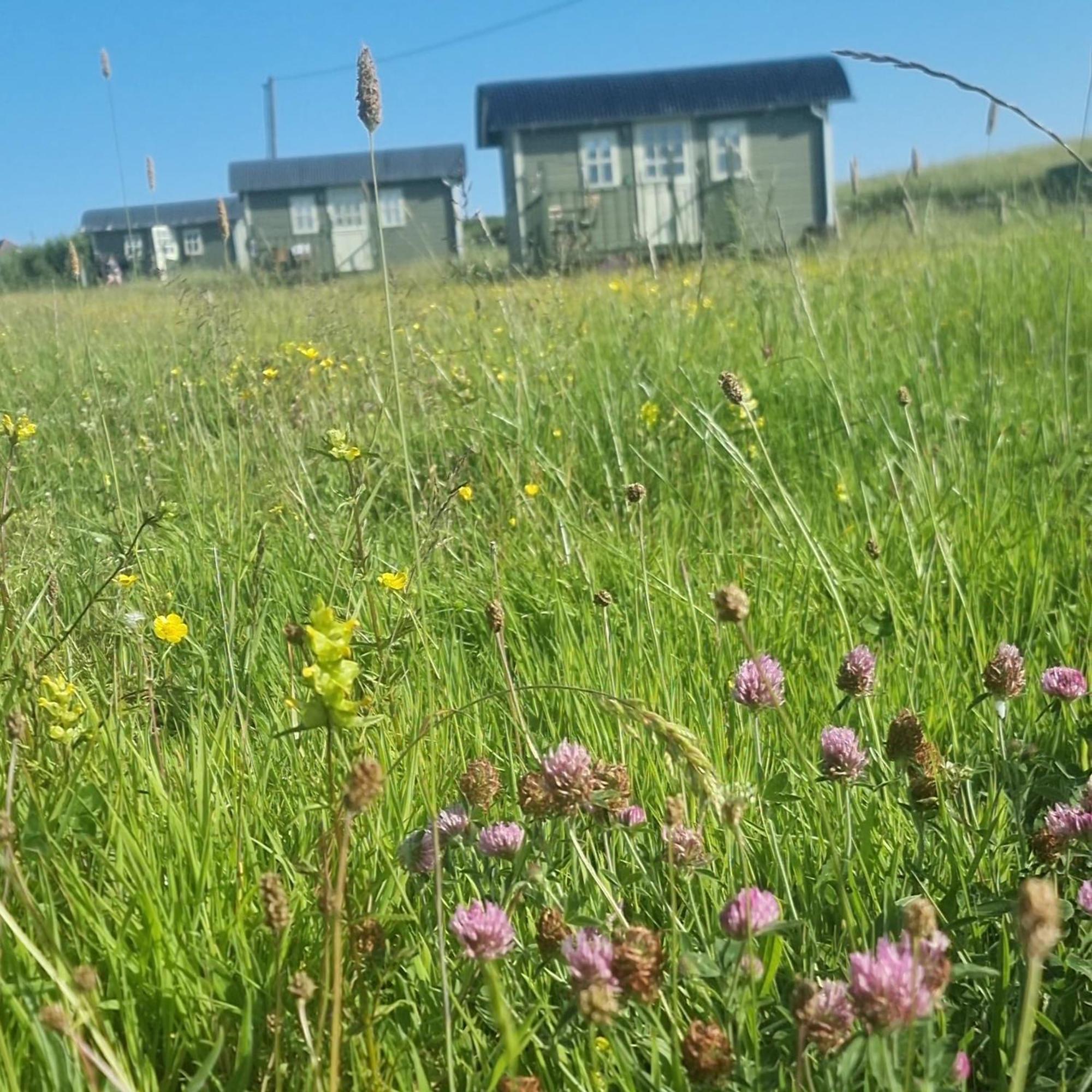 Wild Meadow Huts Villa Doolin Luaran gambar